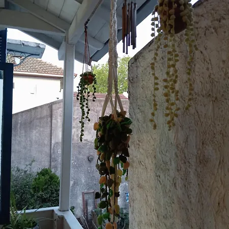 Departamento Marietta Apartment Tigre Exterior photo